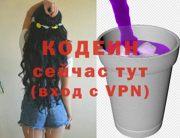 стафф Бородино